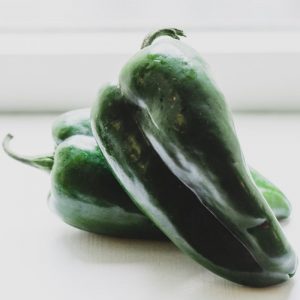 Poblano Pepper Seedling